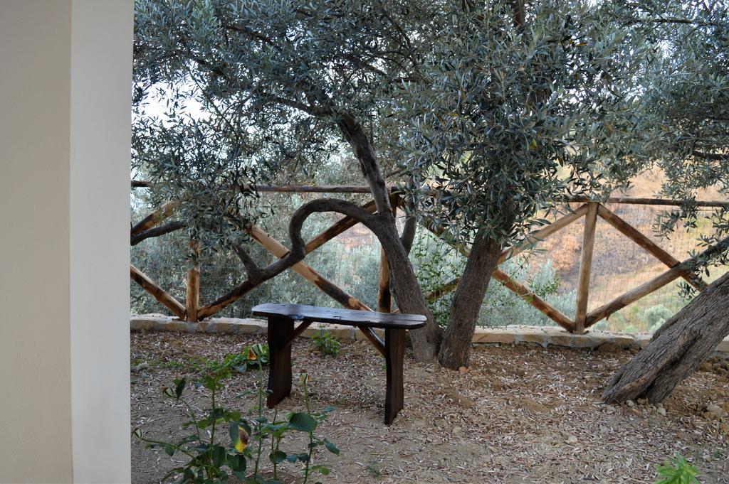 הוילה Pettineo Agriturismo Pattina מראה חיצוני תמונה